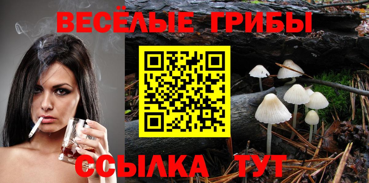 Арзамас  Галлюциногенные грибы Psilocybe  Псилоцибиновые грибы Psilocybine cubensis  Вход с VPN 
